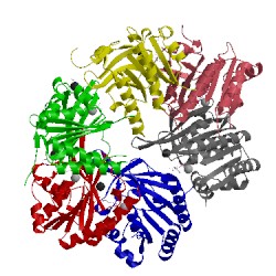 Image of CATH 4tl8