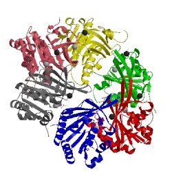 Image of CATH 4tla