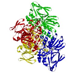 Image of CATH 4tlz