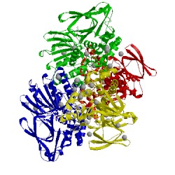 Image of CATH 4tm3