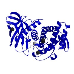 Image of CATH 4tmn