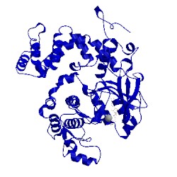 Image of CATH 4tnd