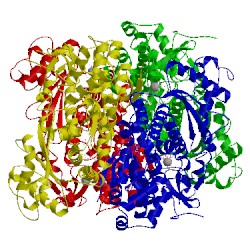 Image of CATH 4tnp