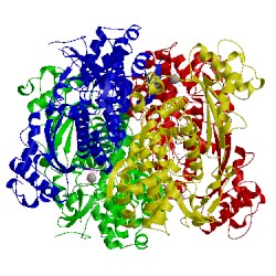 Image of CATH 4tnq