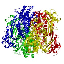 Image of CATH 4tnr