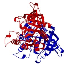 Image of CATH 4tnu