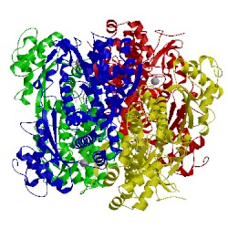 Image of CATH 4tny