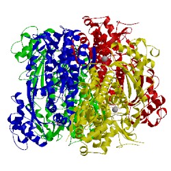 Image of CATH 4to1