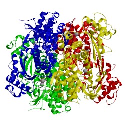 Image of CATH 4to2