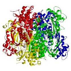 Image of CATH 4to5