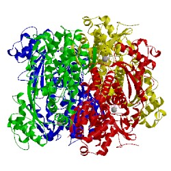 Image of CATH 4to6