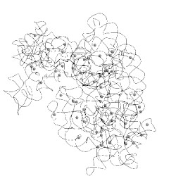 Image of CATH 4ton