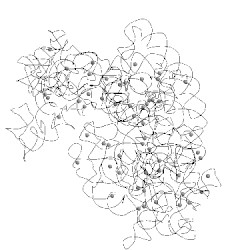 Image of CATH 4tp2