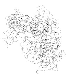Image of CATH 4tpa