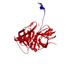 Image of CATH 4tpi