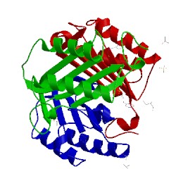 Image of CATH 4trf