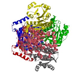 Image of CATH 4trm