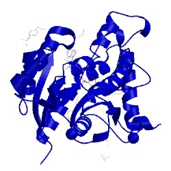 Image of CATH 4tro