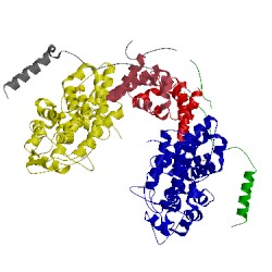 Image of CATH 4trq