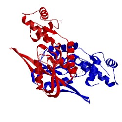 Image of CATH 4ts5