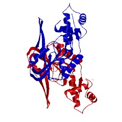 Image of CATH 4ts7