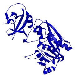 Image of CATH 4tt8