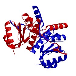 Image of CATH 4ttb