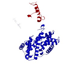 Image of CATH 4tth