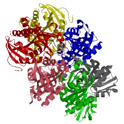 Image of CATH 4tti