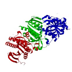 Image of CATH 4ttj