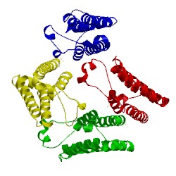 Image of CATH 4tu6