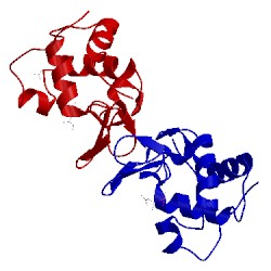 Image of CATH 4tun