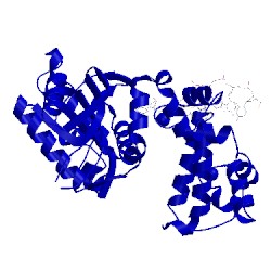 Image of CATH 4tup
