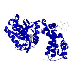 Image of CATH 4tur