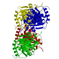 Image of CATH 4tw5