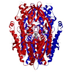 Image of CATH 4twe