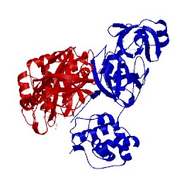 Image of CATH 4tww