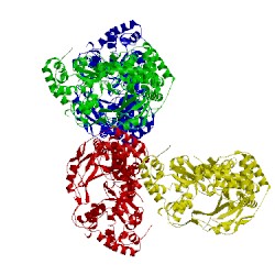 Image of CATH 4ty9