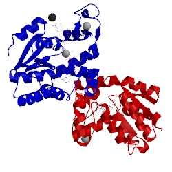 Image of CATH 4tyq