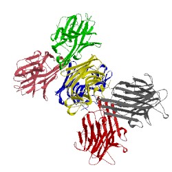 Image of CATH 4tys