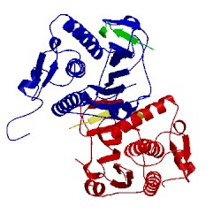 Image of CATH 4tzm