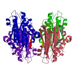 Image of CATH 4tzo