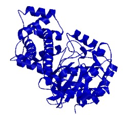 Image of CATH 4tzr