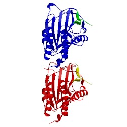 Image of CATH 4tzs