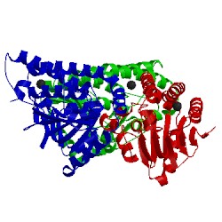 Image of CATH 4u18