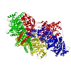 Image of CATH 4u1y