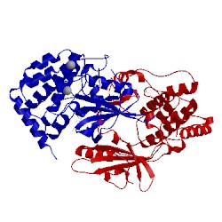 Image of CATH 4u45