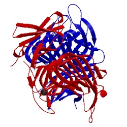 Image of CATH 4u49