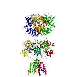 Image of CATH 4u5f