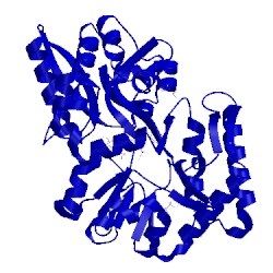 Image of CATH 4ua8